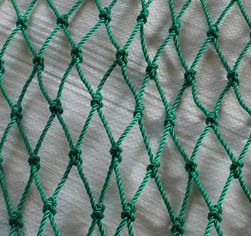 涤纶复丝渔网